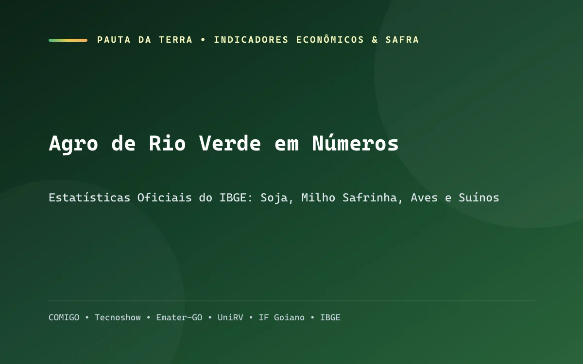 Gráficos de produtividade e infográfico sobre a produção recorde de grãos e suínos em Rio Verde