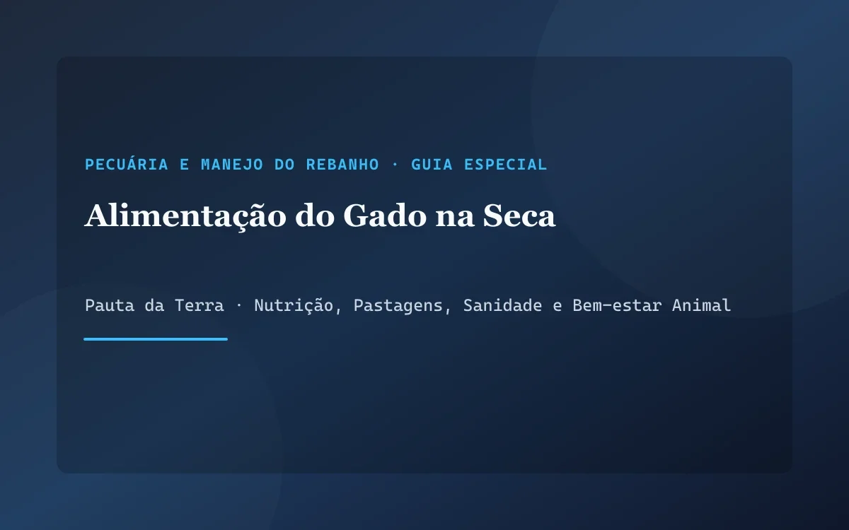 Trator distribuindo silagem de milho em cocho coberto para rebanho bovino durante o período seco