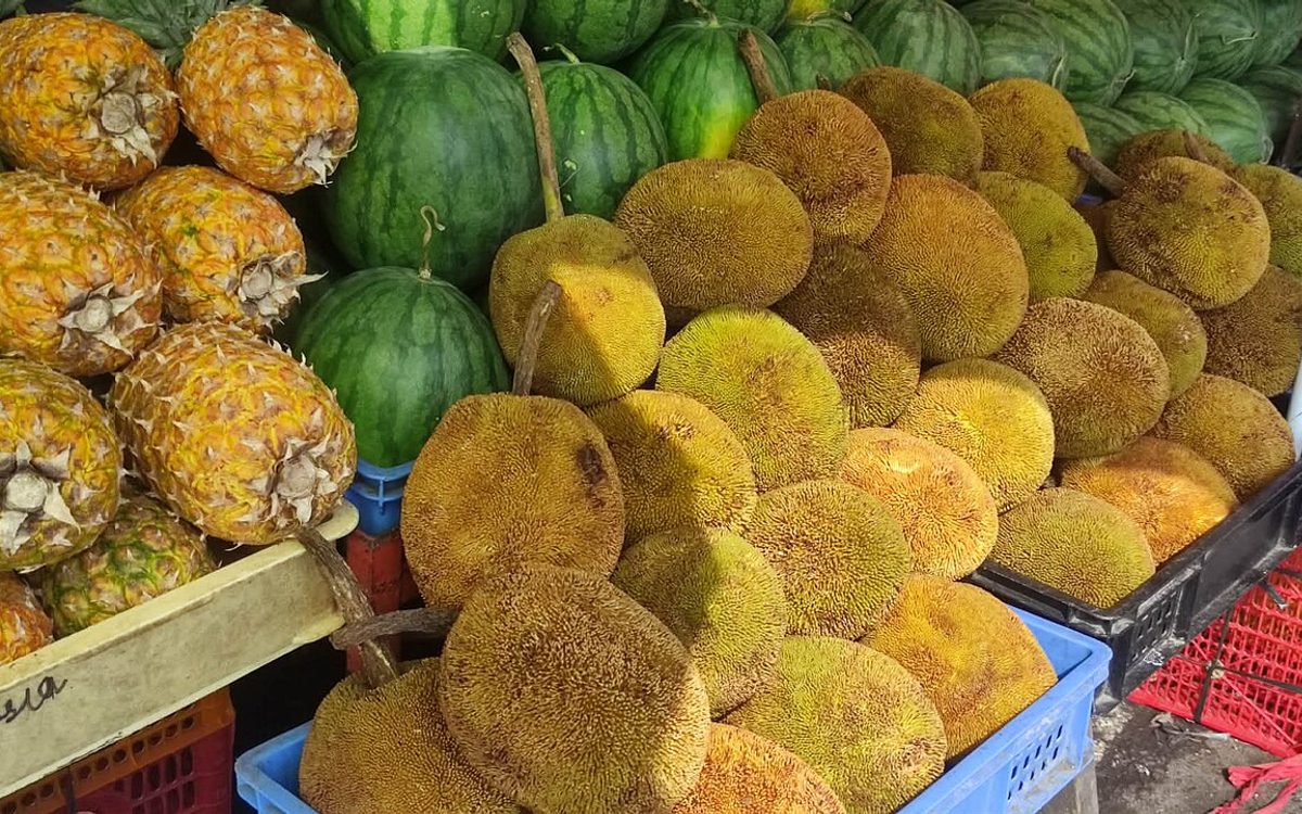 Caixas e estandes de frutas tropicais de exportação exibidas em feira internacional
