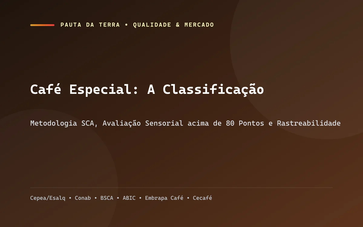 Mesa profissional de prova sensorial de café (cupping) com xícaras e fichas de avaliação