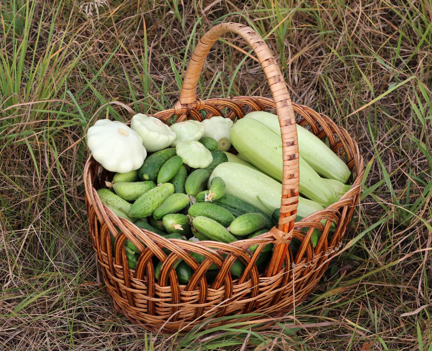 Cesta com produtos frescos da agricultura familiar incluindo legumes, verduras e hortaliças colhidas
