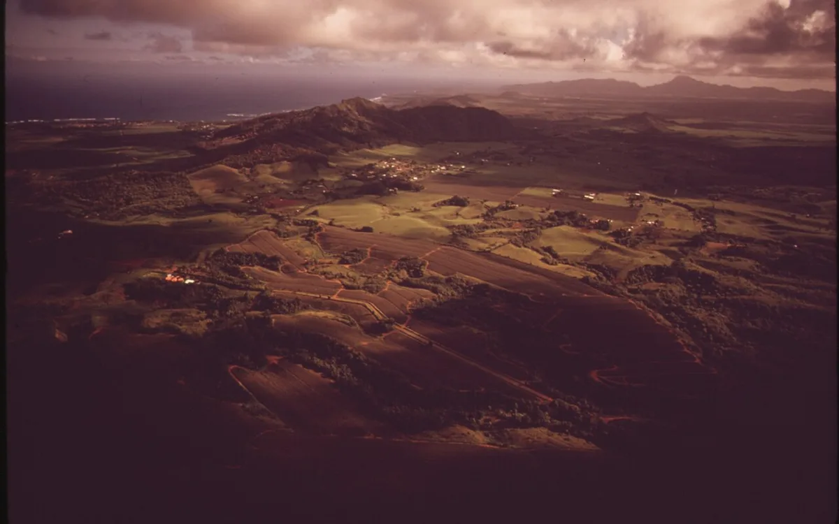 Amostragem estrutural do perfil de solo agrícola exibindo camada adensada e descontinuidade de poros