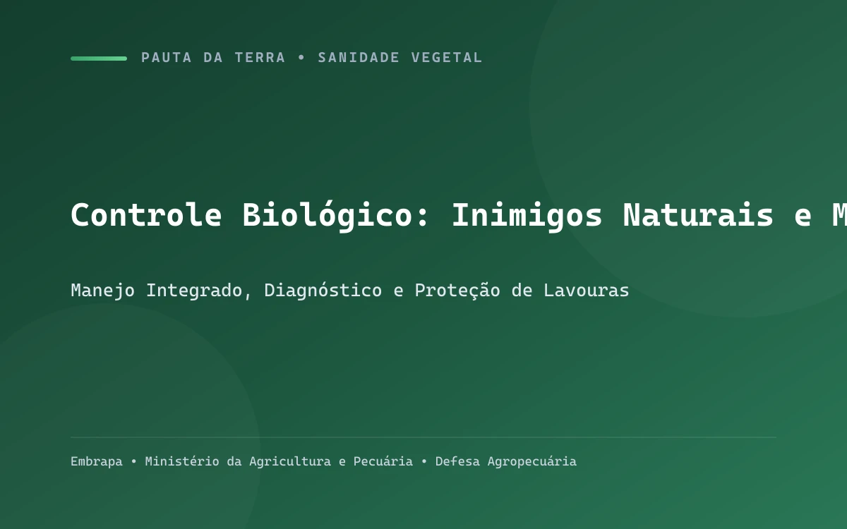 Frasco com cartelas de parasitoides de ovos de lagartas sendo preparado para liberação biológica em campo