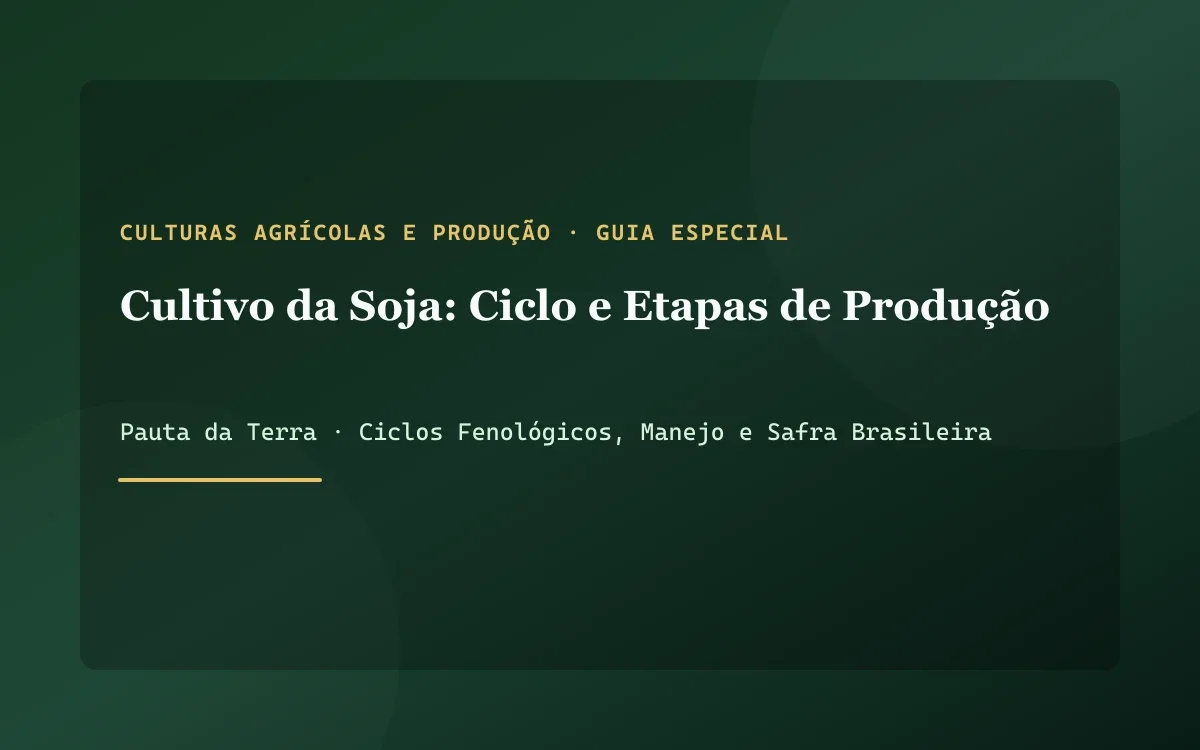 Planta de soja sadia e vigorosa repleta de vagens cheias de grãos em estágio R6 no campo