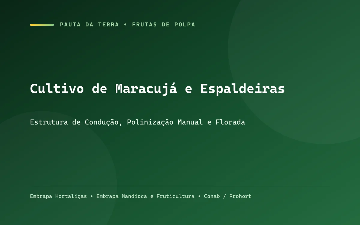 Maracujazeiro amarelo carregado em espaldeira vertical com flor aberta e folhas verdes sadias