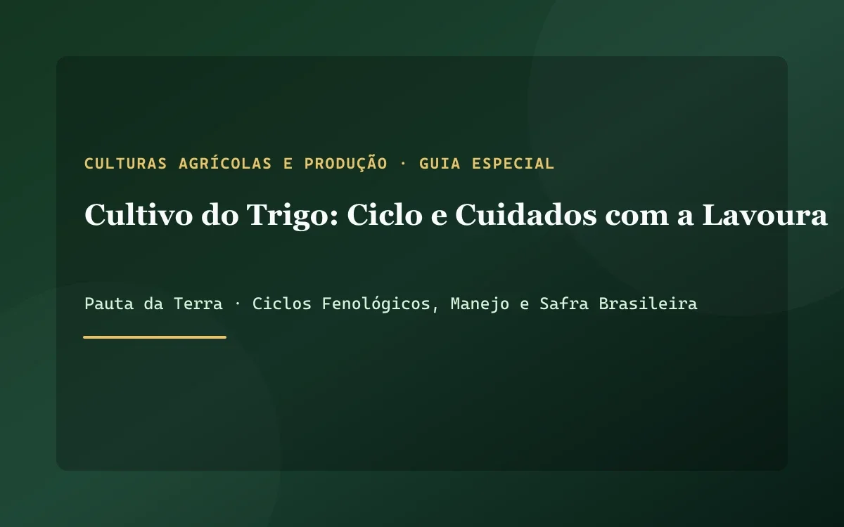 Lavoura dourada de trigo ondulando ao vento com espigas maduras prontas para a colheita