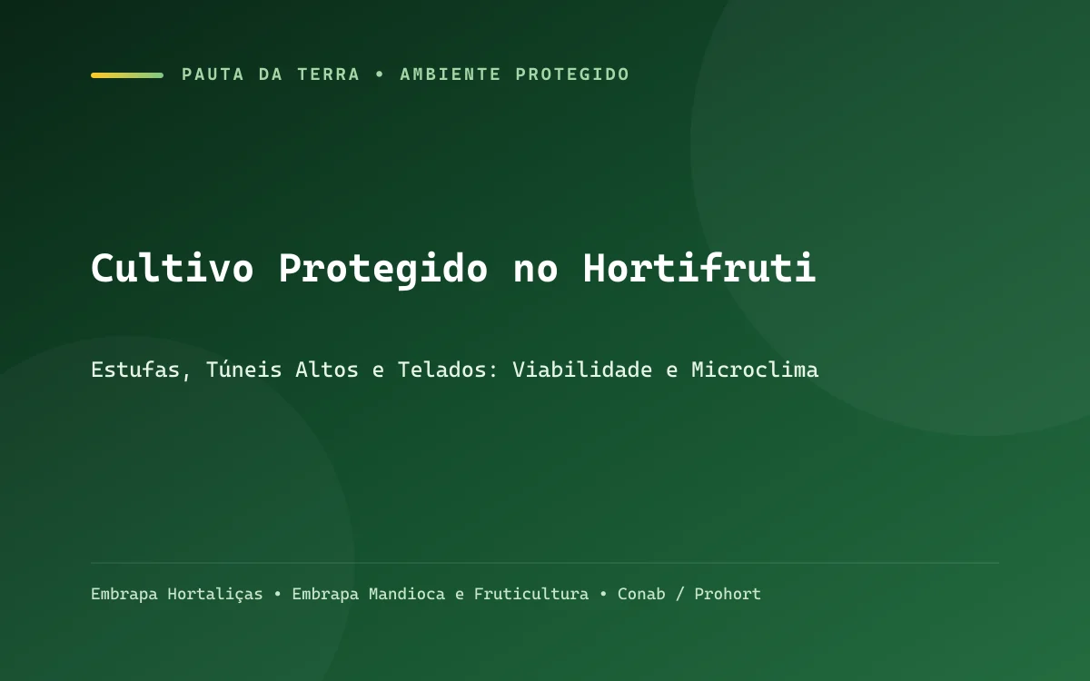 Estufas agrícolas em arco com filme plástico difusor de luz e canteiros de pimentão e tomate bem organizados