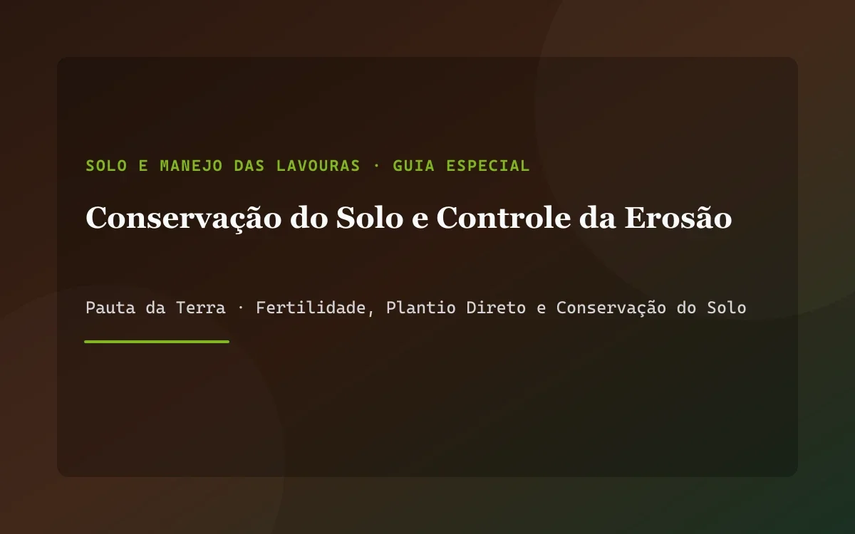 Lavoura ampla com curvas de nível e terraços em curva bem dimensionados contendo enxurrada de água pluvial