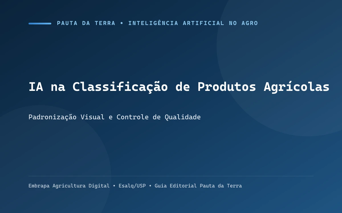 Esteira de classificação óptica de grãos de café com câmeras de visão computacional em cooperativa
