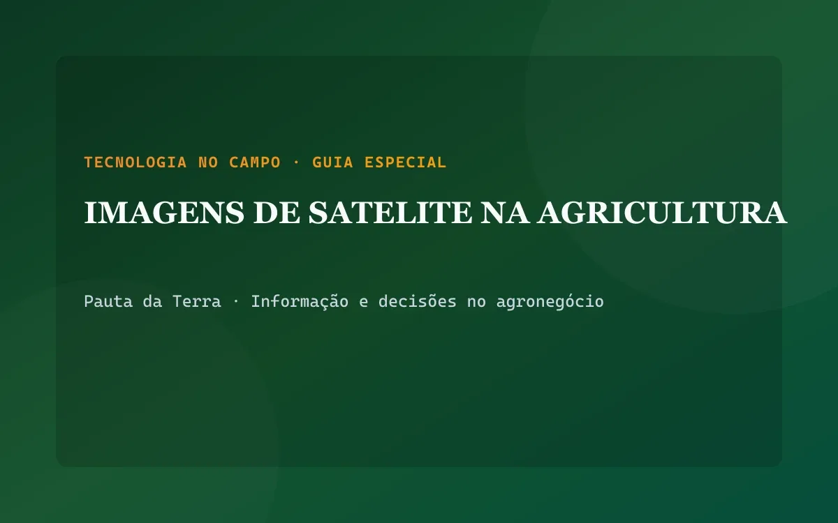 Mosaico de imagens de satélite exibindo índice de vegetação em talhões agrícolas cultivados