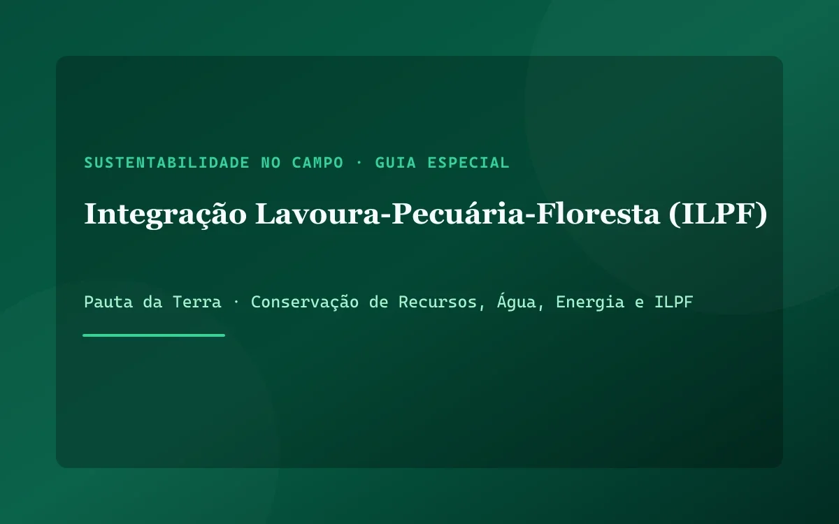 Gado Nelore pastando tranquilamente sob a sombra projetada por renques paralelos de árvores de eucalipto em sistema ILPF