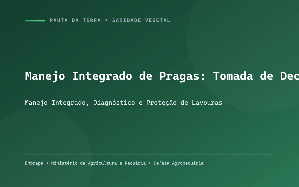 Técnico agrícola realizando amostragem de pragas em lavoura com pano de batida branco entre as linhas de soja