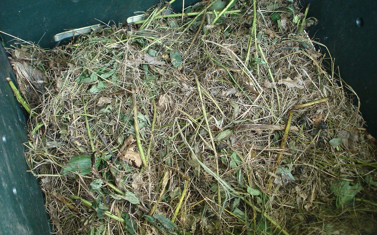 Pilha de compostagem orgânica com matéria vegetal decomposta em rico húmus