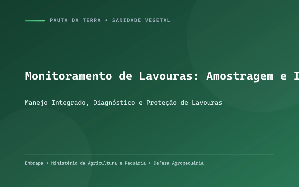 Monitor de campo anotando dados de inspeção fitossanitária em tablet com lavoura de milho ao fundo
