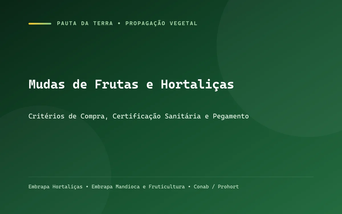 Técnico agrícola inspecionando bandejas de mudas sadias com torrão firme e raízes brancas bem formadas em viveiro telado