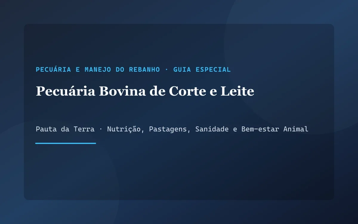 Rebanho bovino pastando em piquete bem manejado com braquiária verde sob sol da manhã