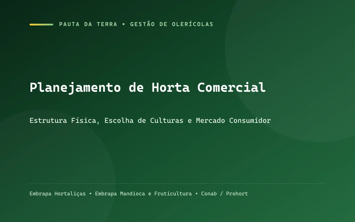 Horta comercial bem estruturada com canteiros alinhados, sistema de irrigação por microaspersão e galpão de lavagem ao fundo