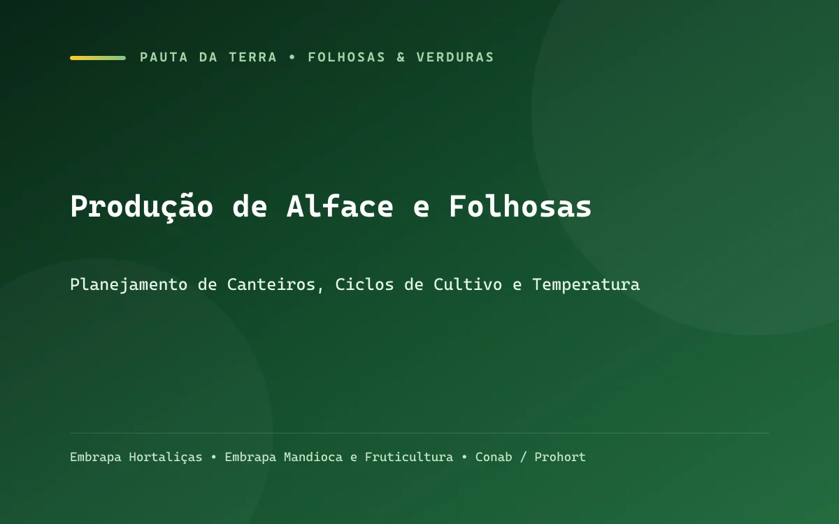 Canteiro comercial de alface crespa e roxa viçosa com cobertura de mulching e microaspersão em funcionamento