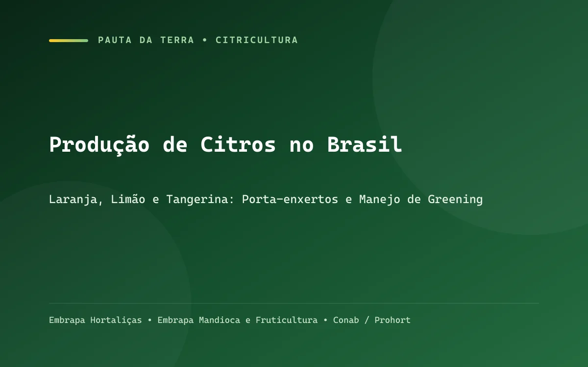Pomar de citros com árvores copadas carregadas de frutos verdes e alaranjados sob céu azul