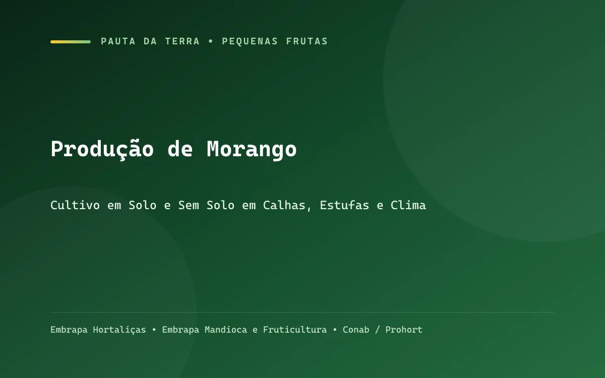 Produção de morango em bancadas suspensas em estufa com frutos vermelhos e flores brancas
