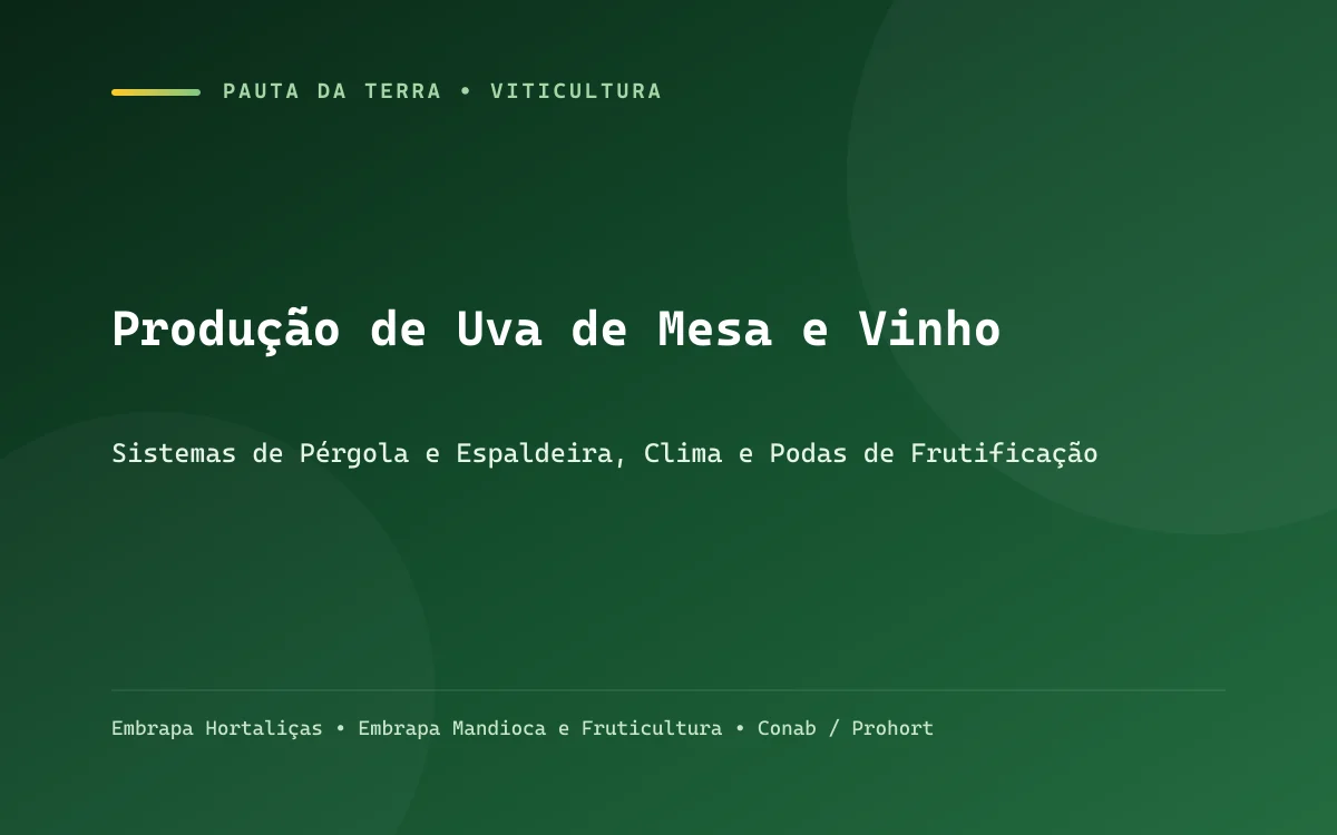 Parreiral de uvas em latada com cachos roxos e verdes pendentes protegidos por folhas sadias