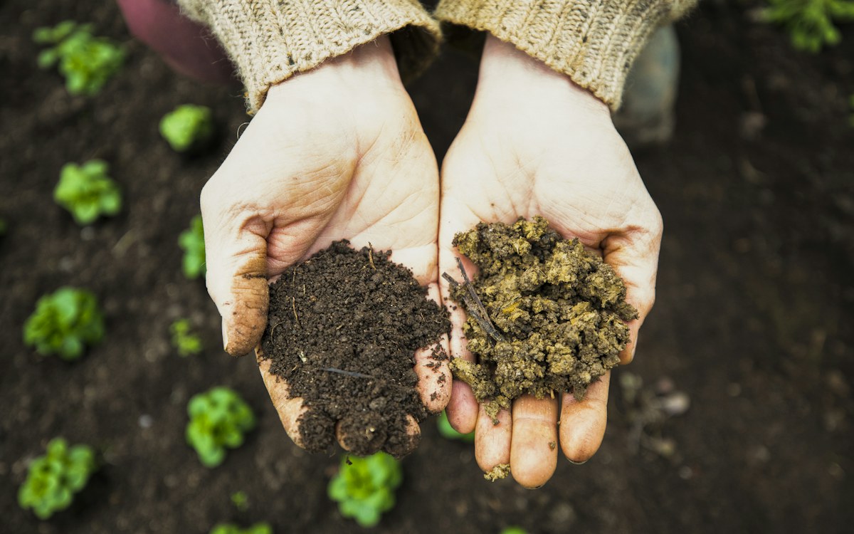 Mãos de agricultor e agrônomo segurando porção de solo fértil e estruturado em área de cultivo sustentável