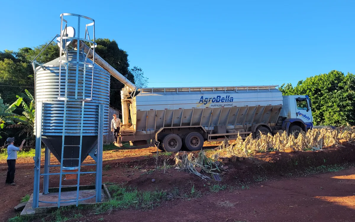 Instalação de abastecimento e silos de concentrado para semiconfinamento de gado em pasto