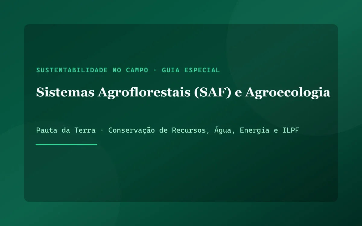 Sistema Agroflorestal biodiverso em múltiplos andares combinando bananeiras, cacau, café e árvores de dossel