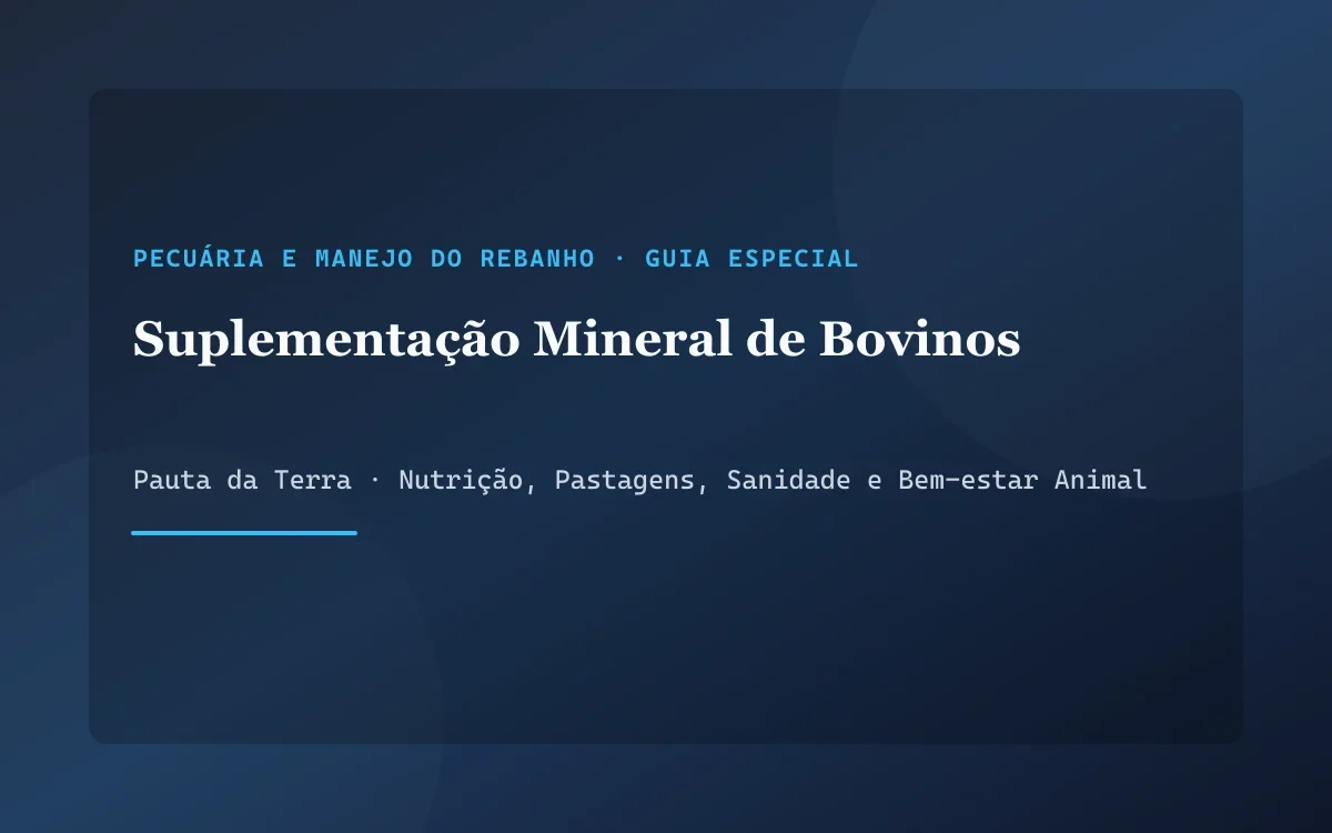 Lote de bezerros e novilhos consumindo sal mineral em cocho coberto com piso de concreto